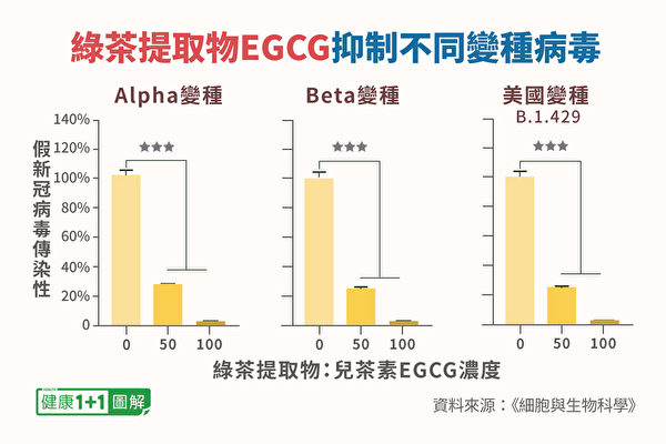 EGCG都可将病毒抑制在30%左右，针对Alpha变种、Beta变种都有效。 （健康1+1／大纪元）
