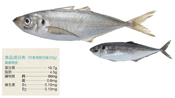 竹荚鱼是营养均衡的代表性青背鱼。（方舟文化提供／大纪元合成）