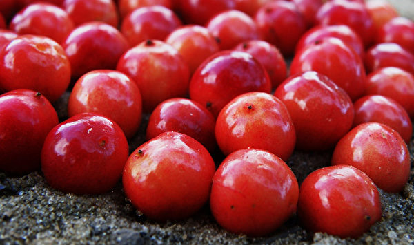 蔓越莓也有高含量的生物黄酮，有清除自由基的作用。