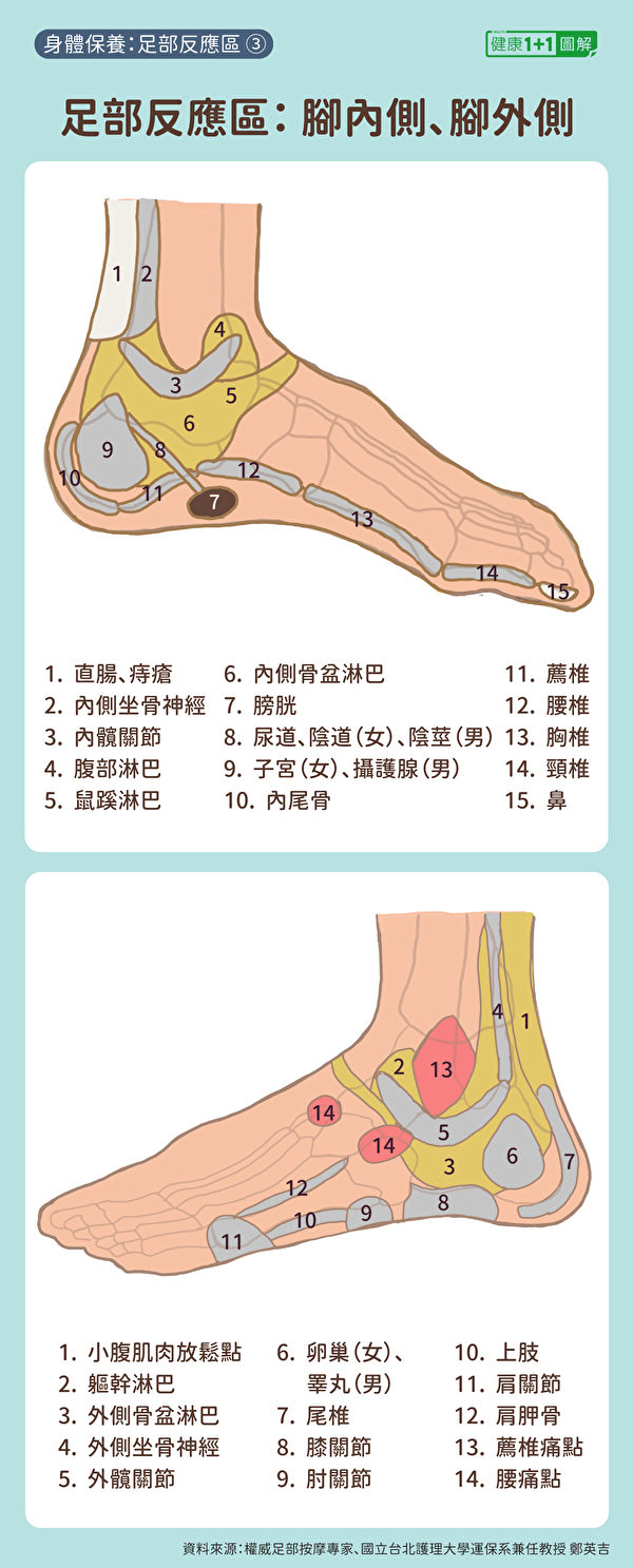 脚内侧反应区有脊椎、子宫、摄护腺；脚外侧反应区则有卵巢、膝关节等。（健康1+1／大纪元）